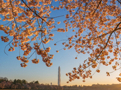 National Mall
