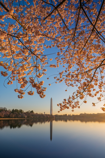 National Mall