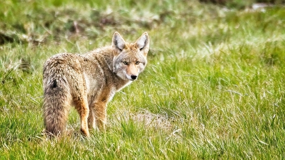 William L. Finley National Wildlife Refuge