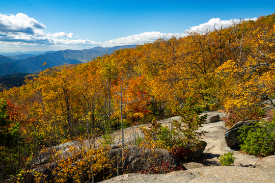 Shenandoah National Park