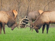 William L. Finley National Wildlife Refuge