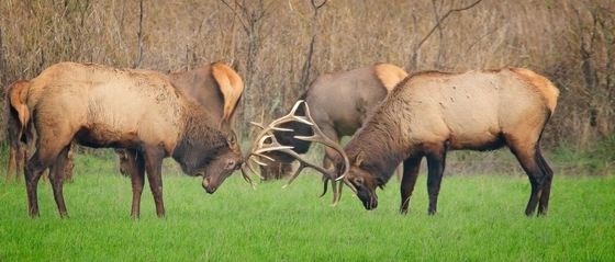 William L. Finley National Wildlife Refuge