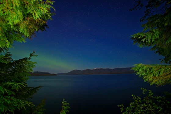 Tongass National Forest