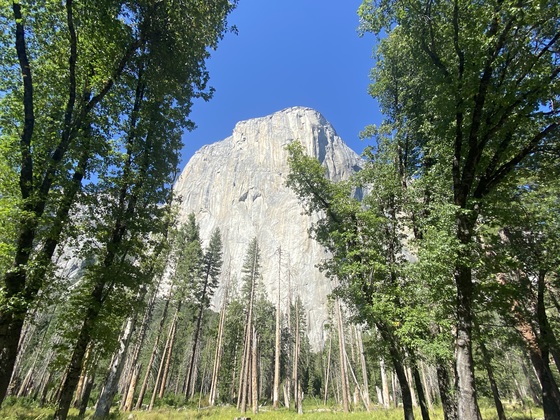 Yosemite National Park 