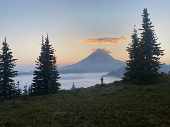 Mount Rainier National Park 
