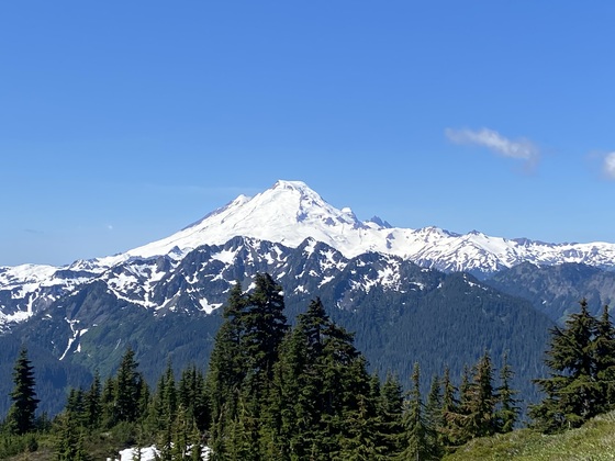 Mt Baker Snoqualmie National Forest 