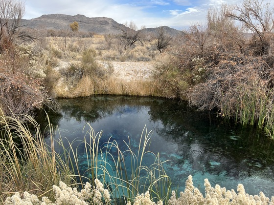 ‎⁨Ash Meadows National Wildlife Refuge⁩, ⁨Pahrump⁩, ⁨Nevada⁩