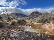 ‎⁨Red Rock Canyon National Conservation Area⁩, ⁨Las Vegas⁩, ⁨Mojave Desert⁩