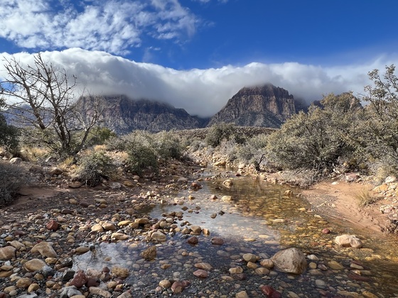 ‎⁨Red Rock Canyon National Conservation Area⁩, ⁨Las Vegas⁩, ⁨Mojave Desert⁩