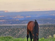 Mesa Verde National Park, Far View Lodge