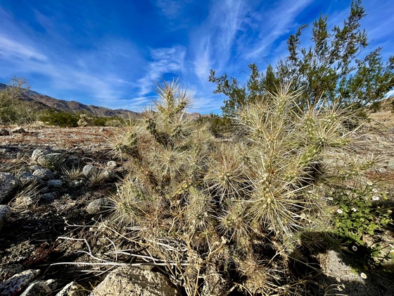 Santa Rosa and San Jacinto Mountains National Monument