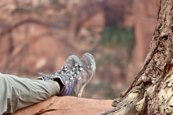 Zion National Park 