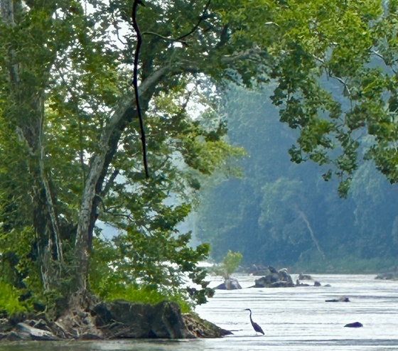 C&O Canal