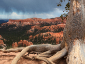 Bryce Canyon National Park