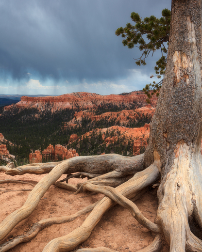 Bryce Canyon National Park