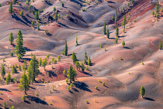 Lassen National Park