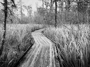 Jean Lafitte National Historic Park and Preserve