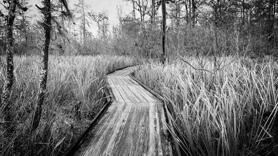 Jean Lafitte National Historic Park and Preserve
