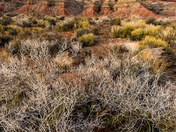 Zion National Park