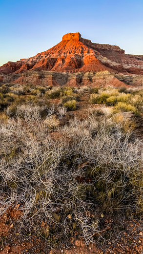 Zion National Park