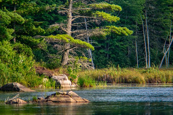 Moosehorn National Wildlife Refuge