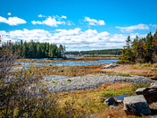 Acadia National Park