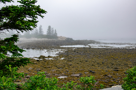 Acadia National Park