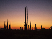 Santa Catalina Mountains