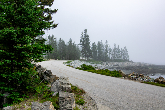 Acadia National Park