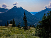 Glacier National Park