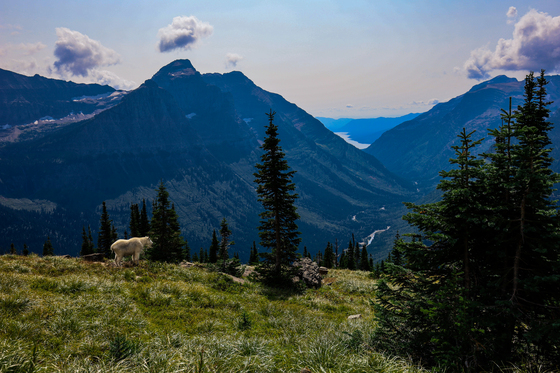 Glacier National Park