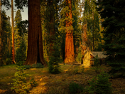 Yosemite National Park