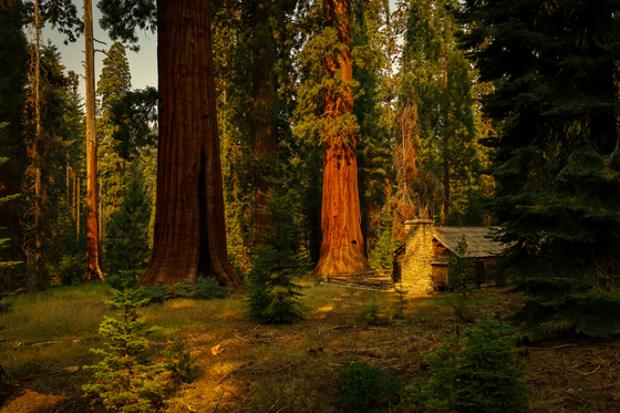 Yosemite National Park