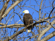 Ottawa National Wildlife Refuge