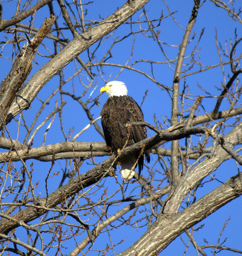 Ottawa National Wildlife Refuge