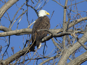 Ottawa National Wildlife Refuge