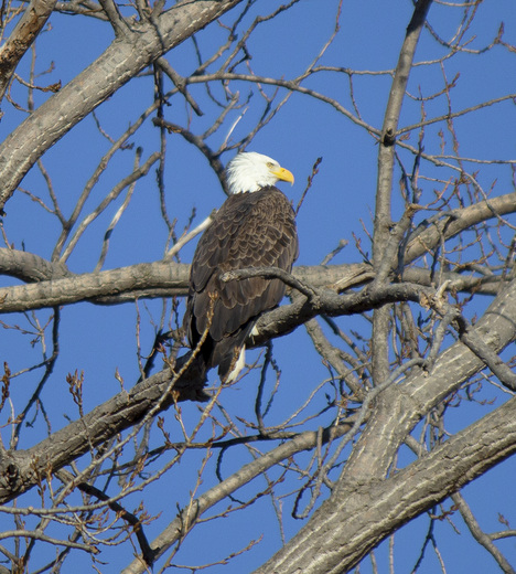 Ottawa National Wildlife Refuge