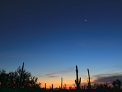Saguaro National Park West