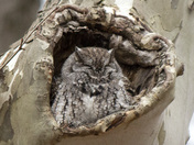 Ottawa National Wildlife Refuge