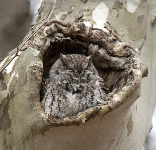 Ottawa National Wildlife Refuge