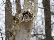 Ottawa National Wildlife Refuge