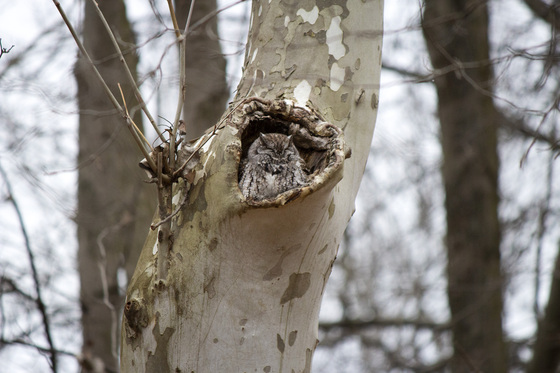Ottawa National Wildlife Refuge