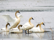 Ottawa National Wildlife Refuge