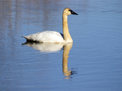 Ottawa National Wildlife Refuge