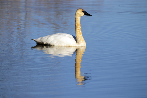 Ottawa National Wildlife Refuge