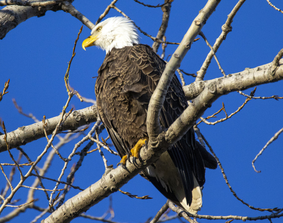Ottawa National Wildlife Refuge