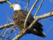 Ottawa National Wildlife Refuge