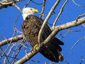 Ottawa National Wildlife Refuge