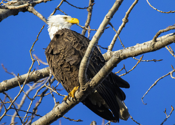 Ottawa National Wildlife Refuge