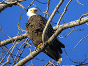 Ottawa National Wildlife Refuge